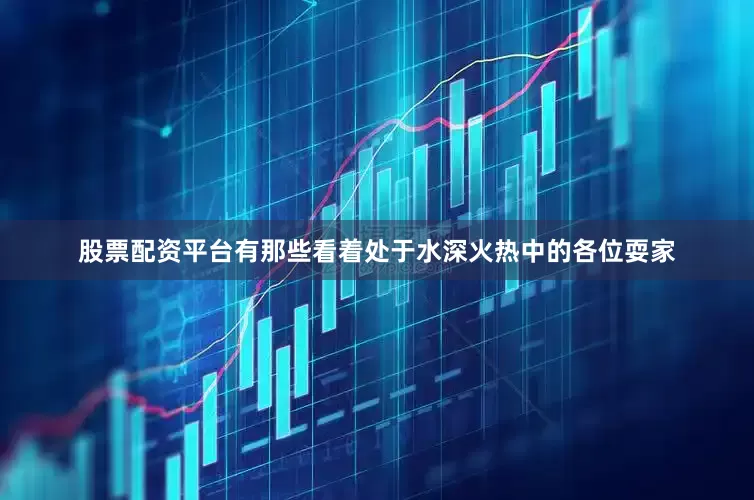 股票配资平台有那些看着处于水深火热中的各位耍家