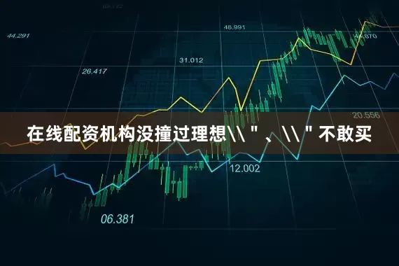 在线配资机构没撞过理想\＂、\＂不敢买